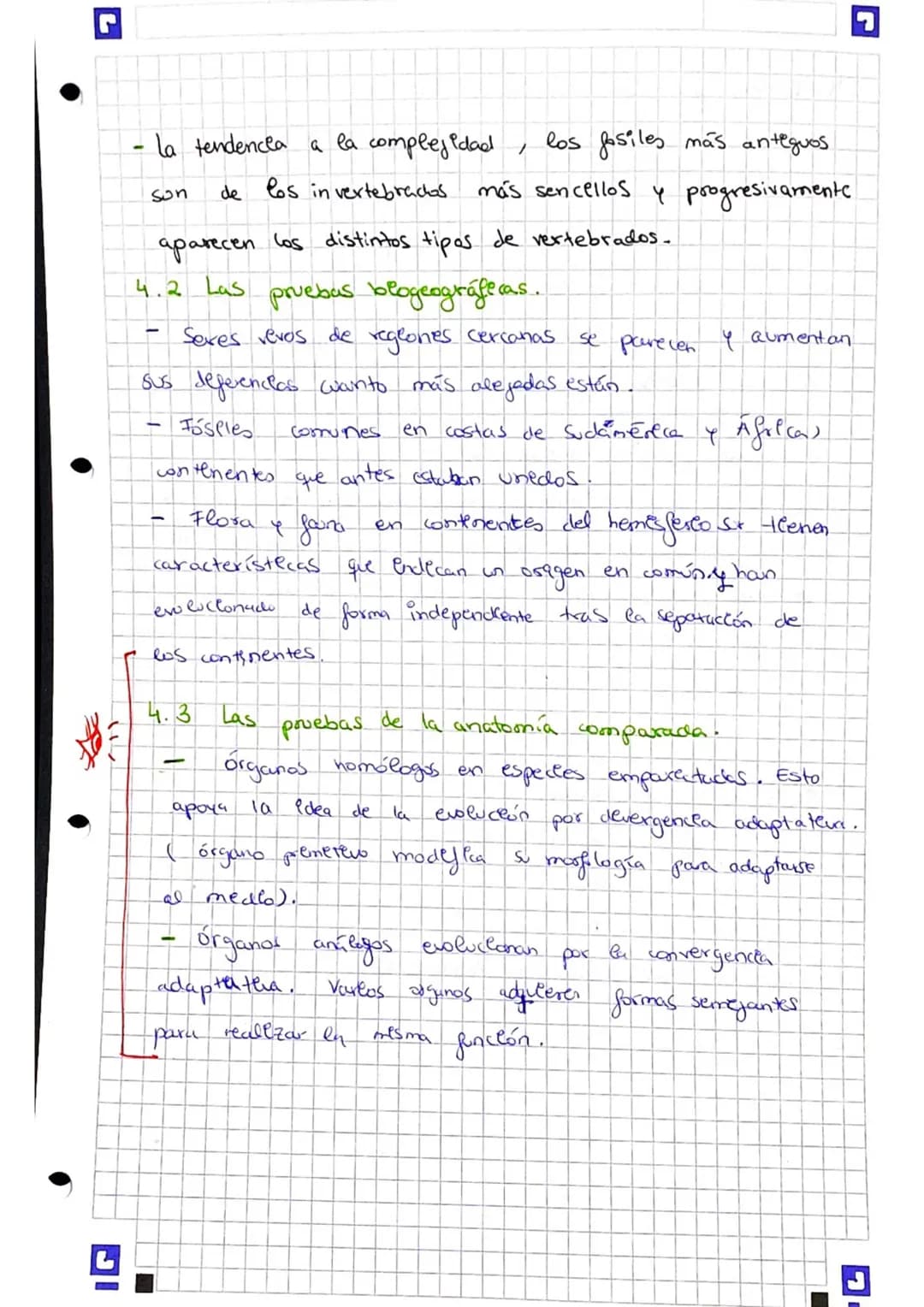 
<p>El origen de la biodiversidad es la variedad de especies que han habitado la Tierra. Los seres vivos habitan en todos los medios de nues