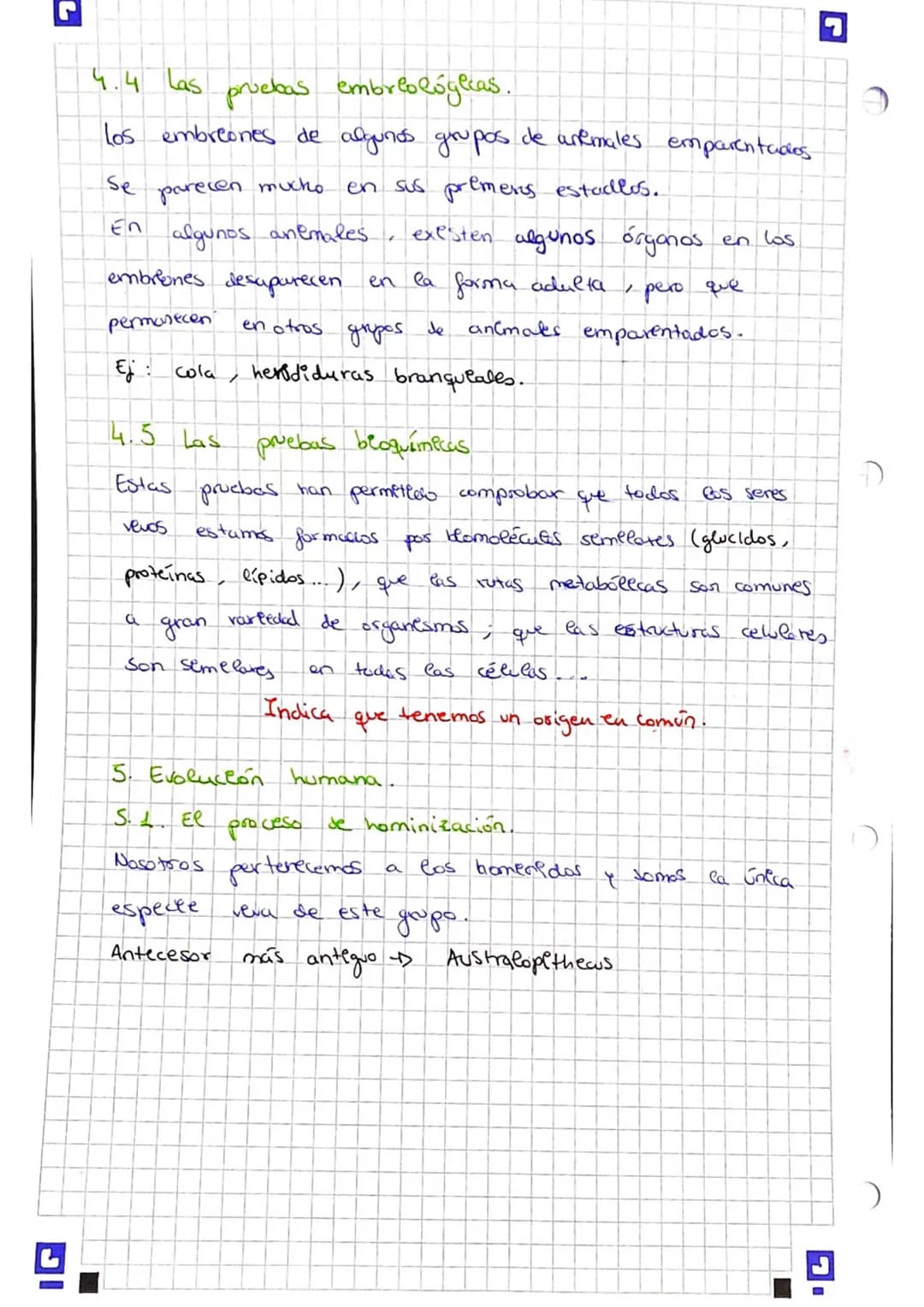 
<p>El origen de la biodiversidad es la variedad de especies que han habitado la Tierra. Los seres vivos habitan en todos los medios de nues