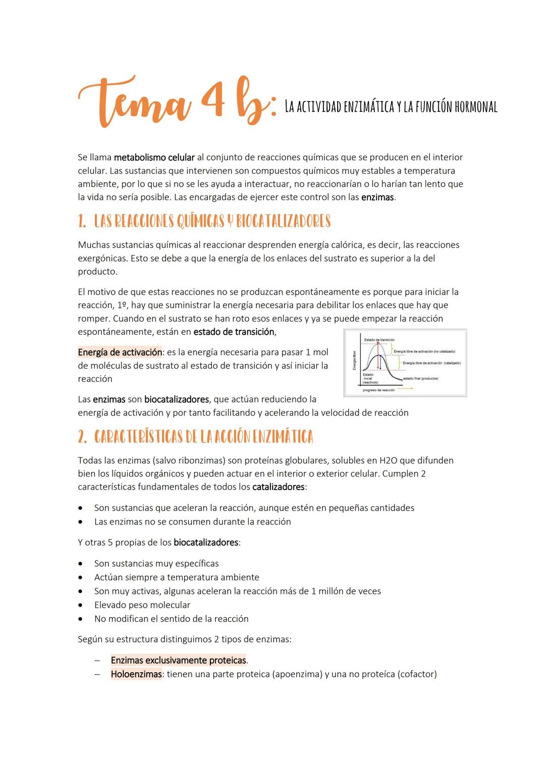 Tema 4 b
LA ACTIVIDAD ENZIMÁTICA Y LA FUNCIÓN HORMONAL
Se llama metabolismo celular al conjunto de reacciones químicas que se producen en el