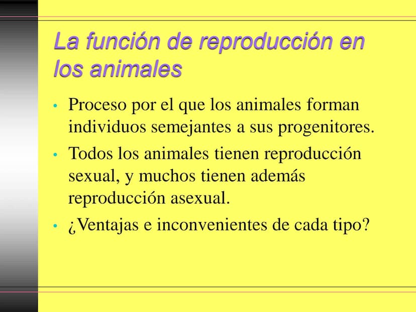 TEMA 10:
LA REPRODUCCIÓN
EN LOS ANIMALES
K La función de reproducción en
los animales
●
●
●
Proceso por el que los animales forman
individuo