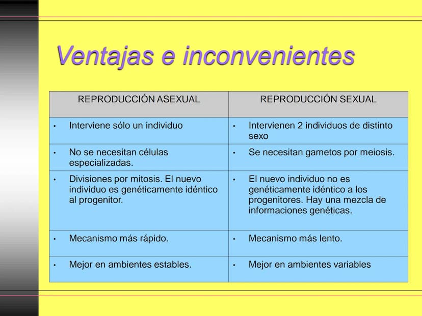 TEMA 10:
LA REPRODUCCIÓN
EN LOS ANIMALES
K La función de reproducción en
los animales
●
●
●
Proceso por el que los animales forman
individuo