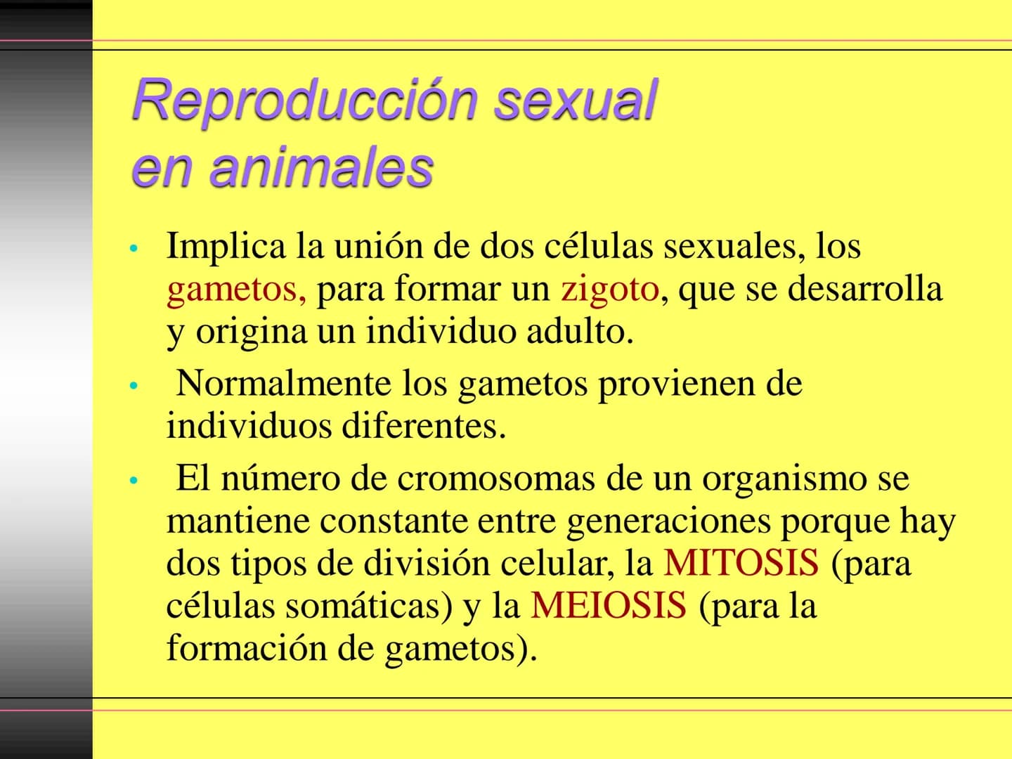 TEMA 10:
LA REPRODUCCIÓN
EN LOS ANIMALES
K La función de reproducción en
los animales
●
●
●
Proceso por el que los animales forman
individuo