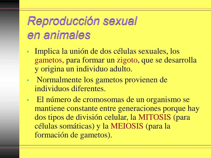 TEMA 10:
LA REPRODUCCIÓN
EN LOS ANIMALES
K La función de reproducción en
los animales
●
●
●
Proceso por el que los animales forman
individuo