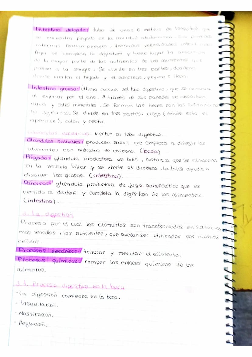 Nutricion Aparatos Digestivo y Prepiratorio
£ la noticia bemance
Es un organismo pluricelular no todas las células pueden resticas
la funció