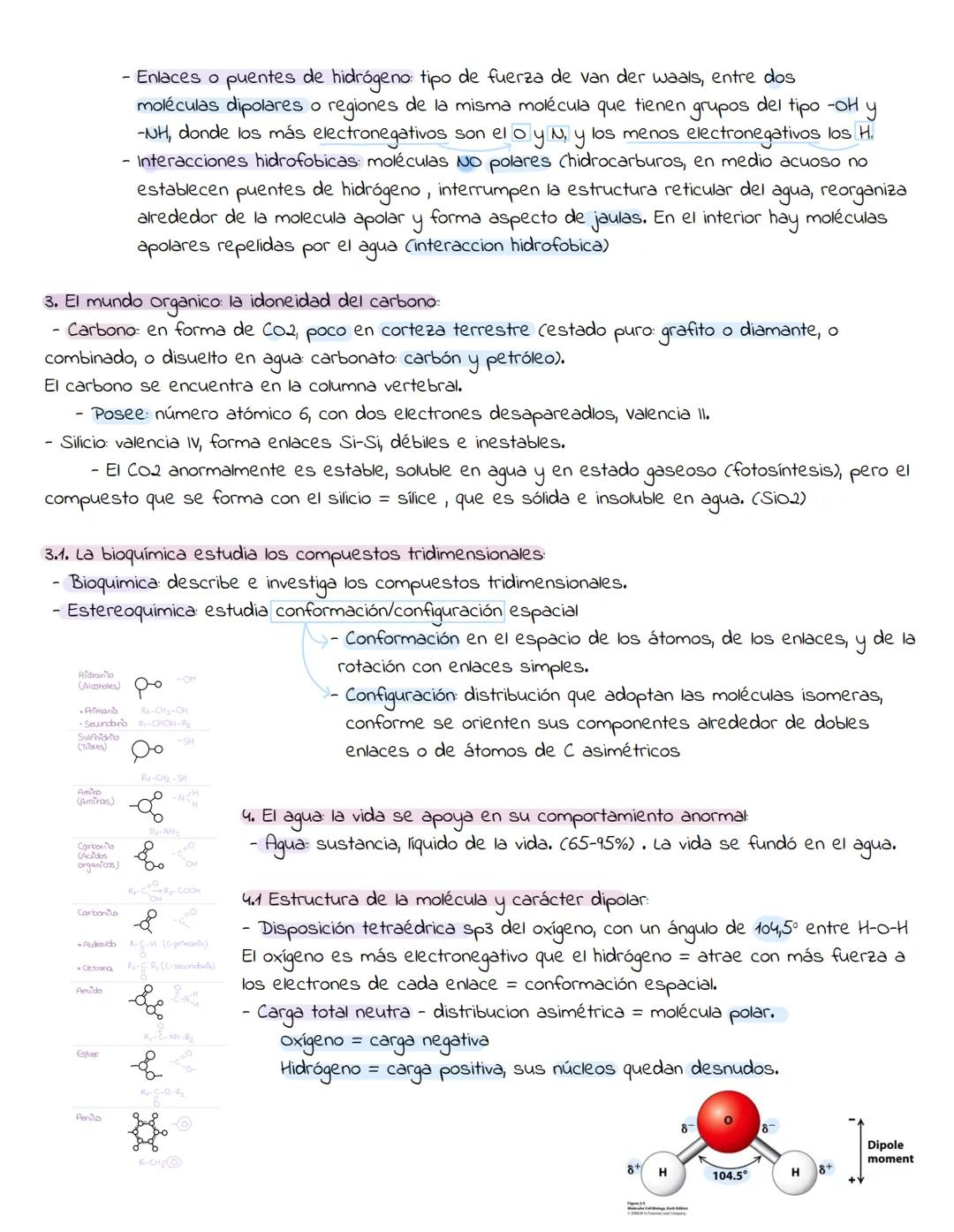 1. Caracteristicas de los seres vivos:
UNIDAD 1
Un organismo vivo realiza ciertas actividades qué el muerto no puede hacer.
Los organismos v