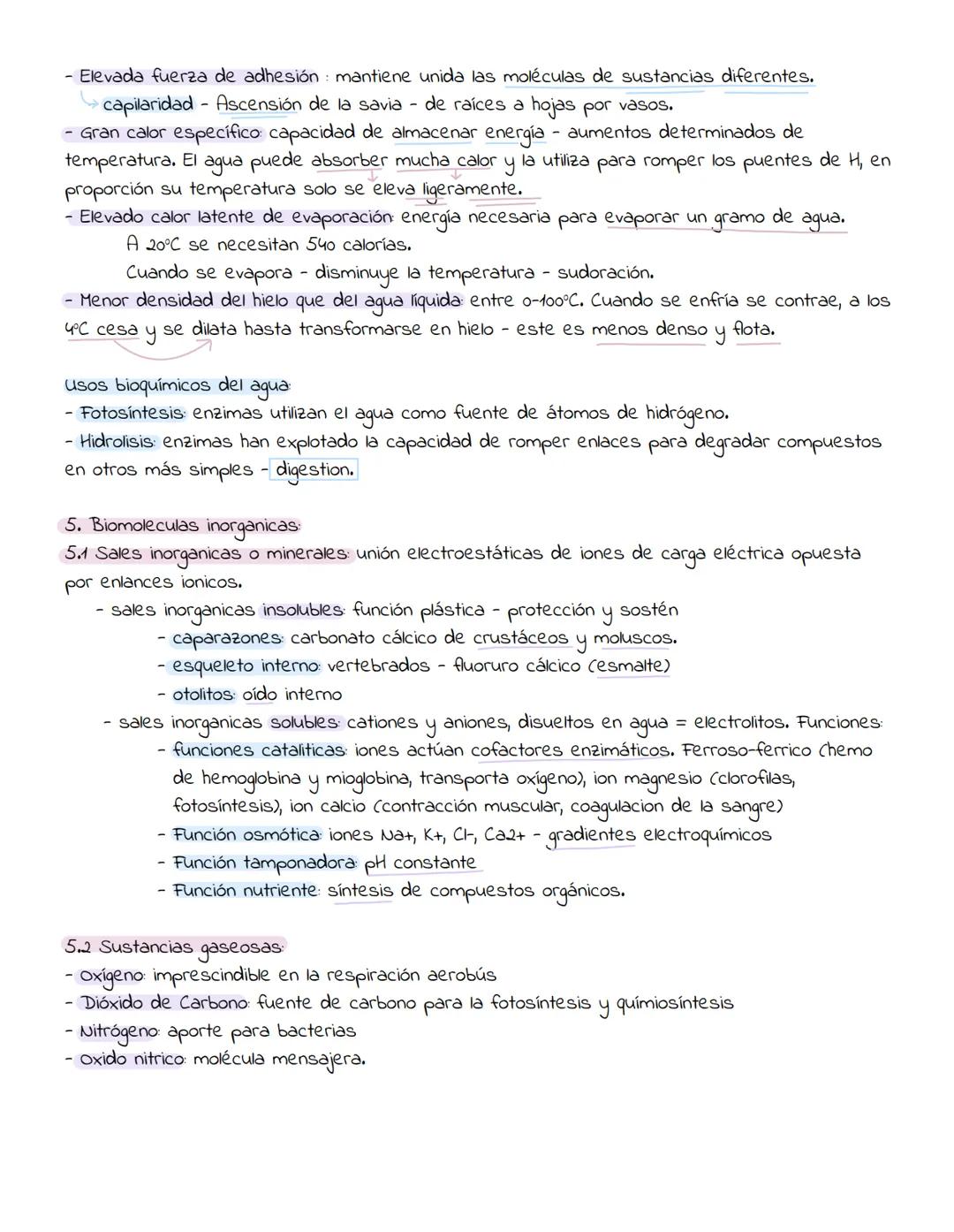 1. Caracteristicas de los seres vivos:
UNIDAD 1
Un organismo vivo realiza ciertas actividades qué el muerto no puede hacer.
Los organismos v