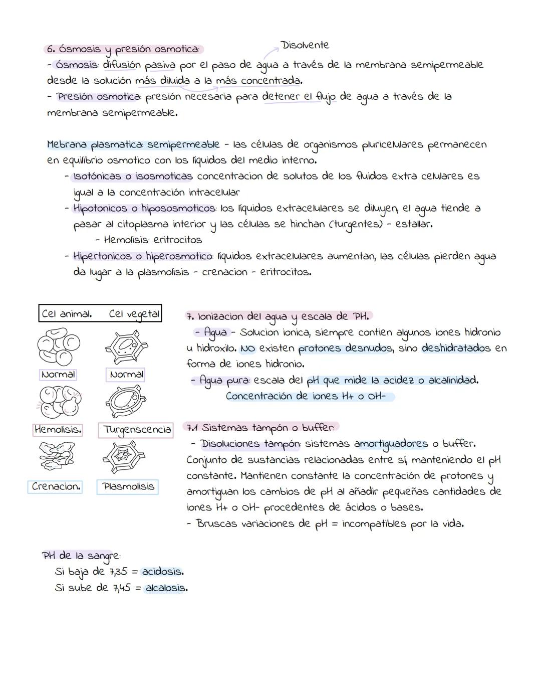 1. Caracteristicas de los seres vivos:
UNIDAD 1
Un organismo vivo realiza ciertas actividades qué el muerto no puede hacer.
Los organismos v