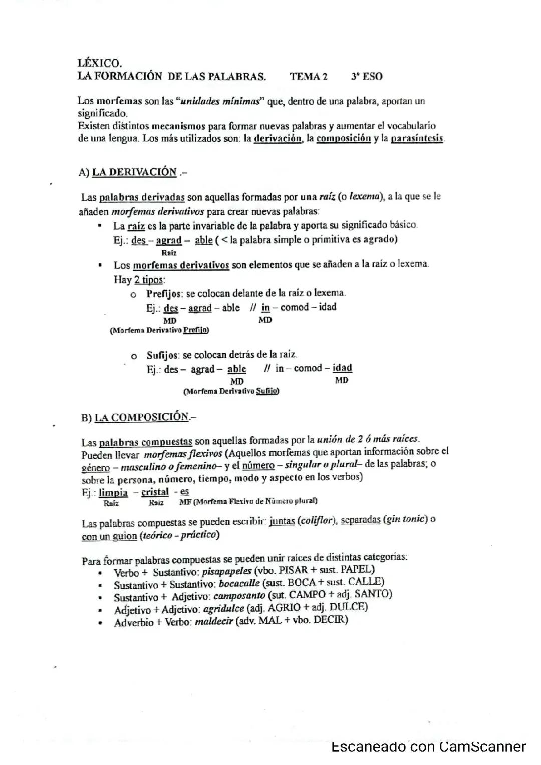 Derivación de las palabras