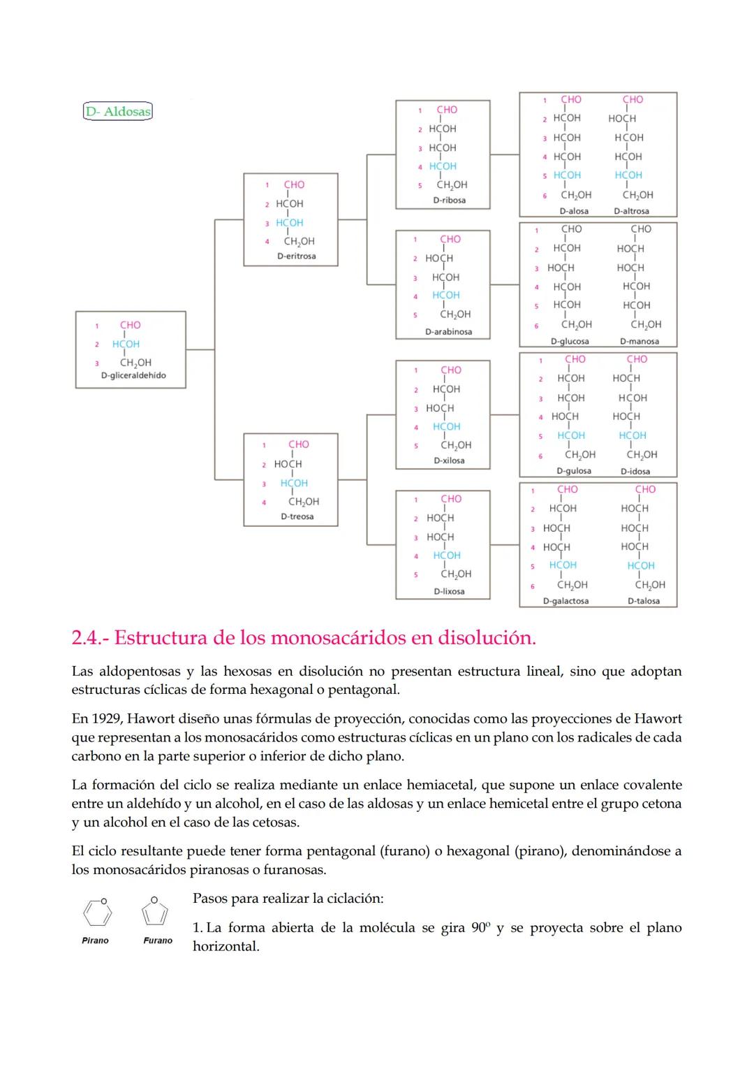 1.-Características generales y clasificación de los glúcidos.
2.-Monosacáridos.
2.1. Propiedades.
2.2. Estereoisomería
2.3. Clasificación.
2