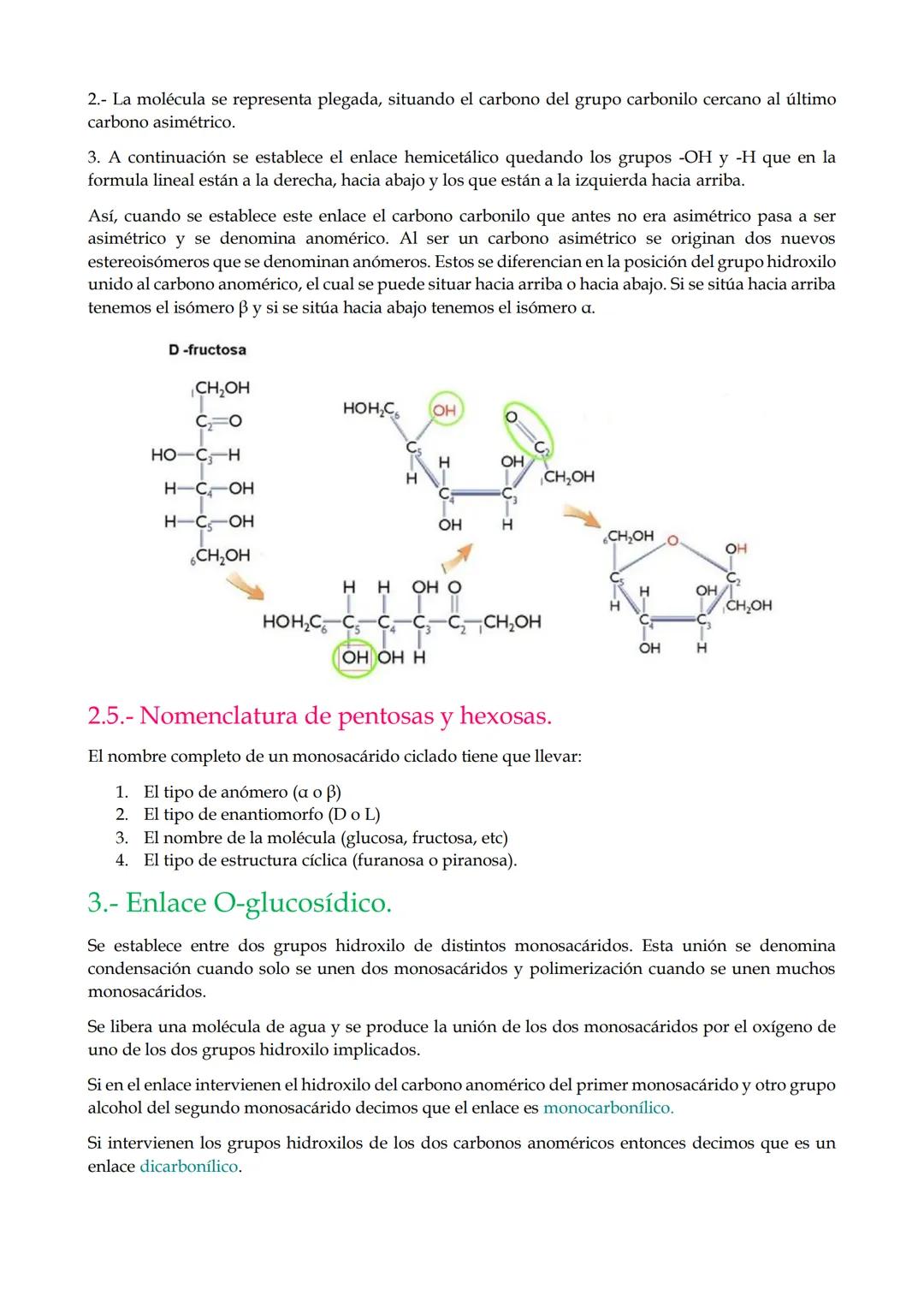 1.-Características generales y clasificación de los glúcidos.
2.-Monosacáridos.
2.1. Propiedades.
2.2. Estereoisomería
2.3. Clasificación.
2