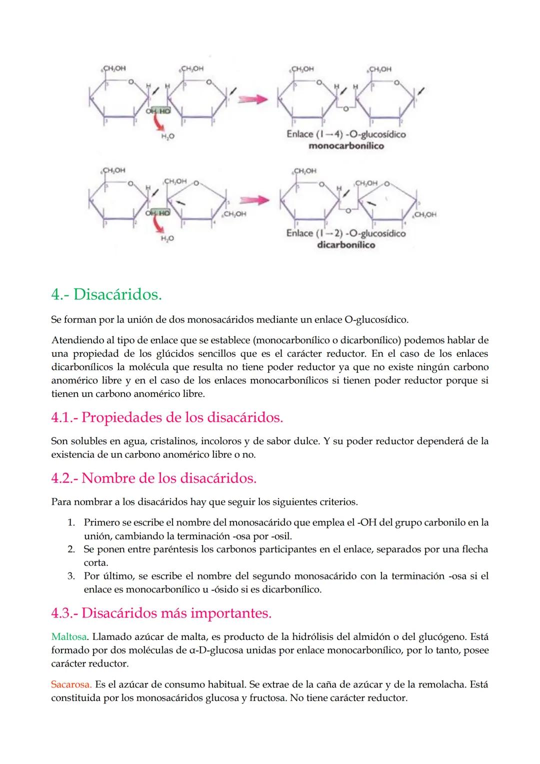 1.-Características generales y clasificación de los glúcidos.
2.-Monosacáridos.
2.1. Propiedades.
2.2. Estereoisomería
2.3. Clasificación.
2