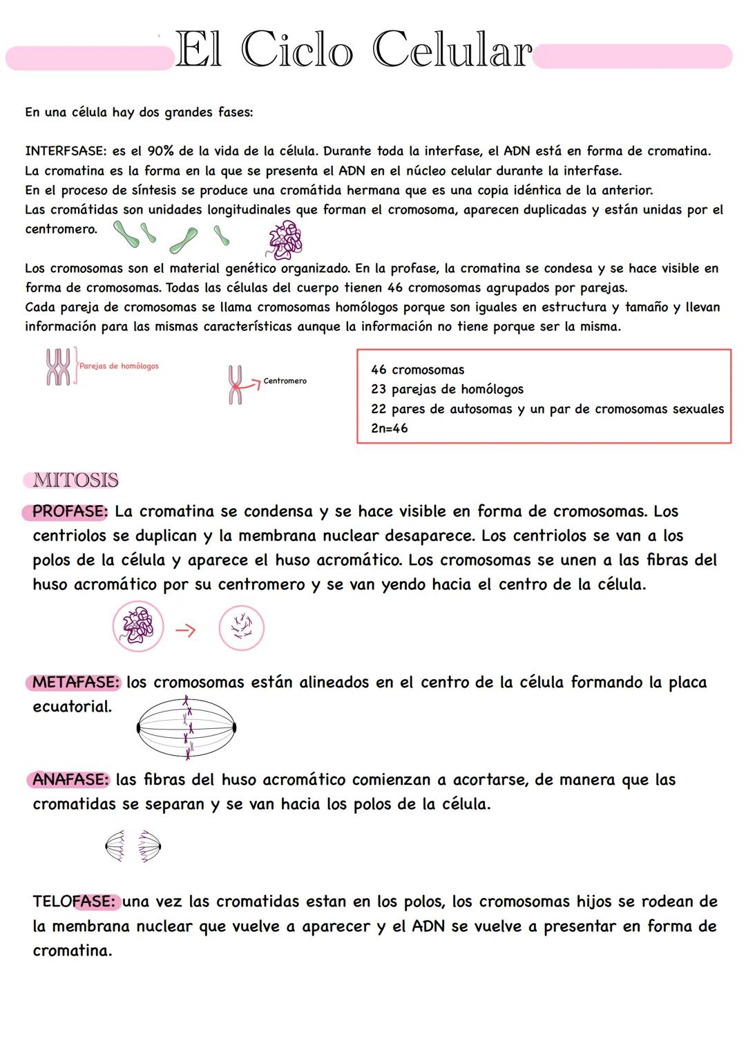 Biologia LA CÉLULA
Una célula es la unidad básica estructural y funcional que constituye a todo ser vivo.
Las células son microscópicas, es 