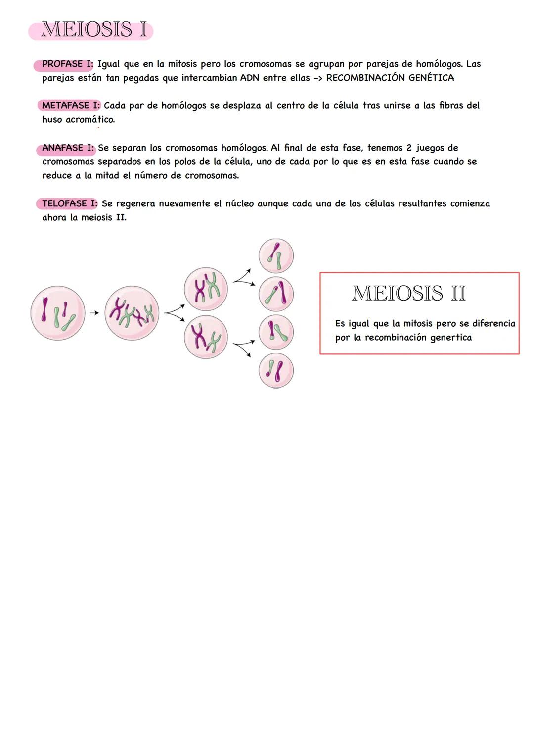 Biologia LA CÉLULA
Una célula es la unidad básica estructural y funcional que constituye a todo ser vivo.
Las células son microscópicas, es 