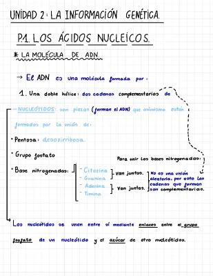 Know ACIDOS NUCLEICOS Y SU EXPRESION thumbnail