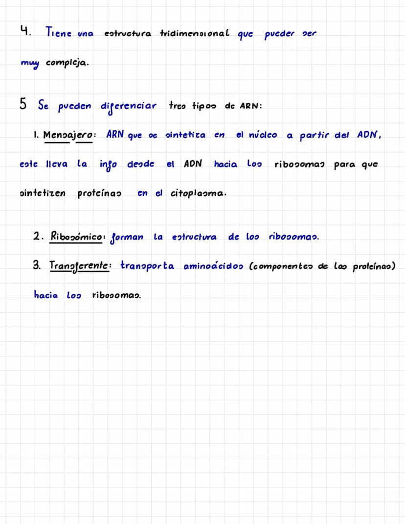 UNIDAD 2: LA INFORMACIÓN GENÉTICA.
P.A. LOS ÁCIDOS NUCLEICOS.
* LA MOLÉCULA DE ADN.
→ Ee ADN es una molécula formada por:
1. Una doble hélic