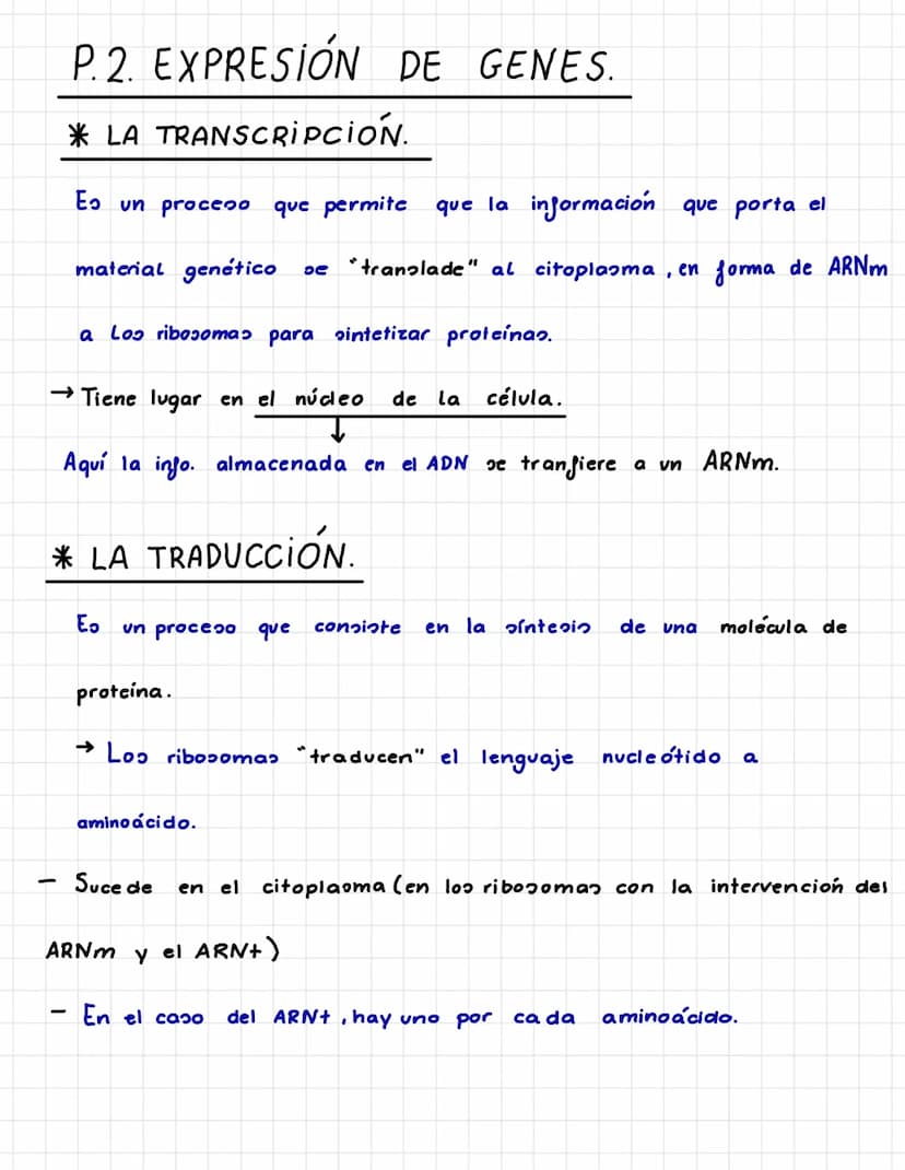 UNIDAD 2: LA INFORMACIÓN GENÉTICA.
P.A. LOS ÁCIDOS NUCLEICOS.
* LA MOLÉCULA DE ADN.
→ Ee ADN es una molécula formada por:
1. Una doble hélic