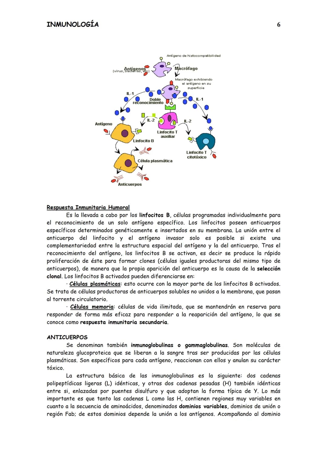 
<p>El sistema inmunitario es el conjunto de células y sustancias presentes en nuestro organismo, o que se producen para tolerar o rechazar 