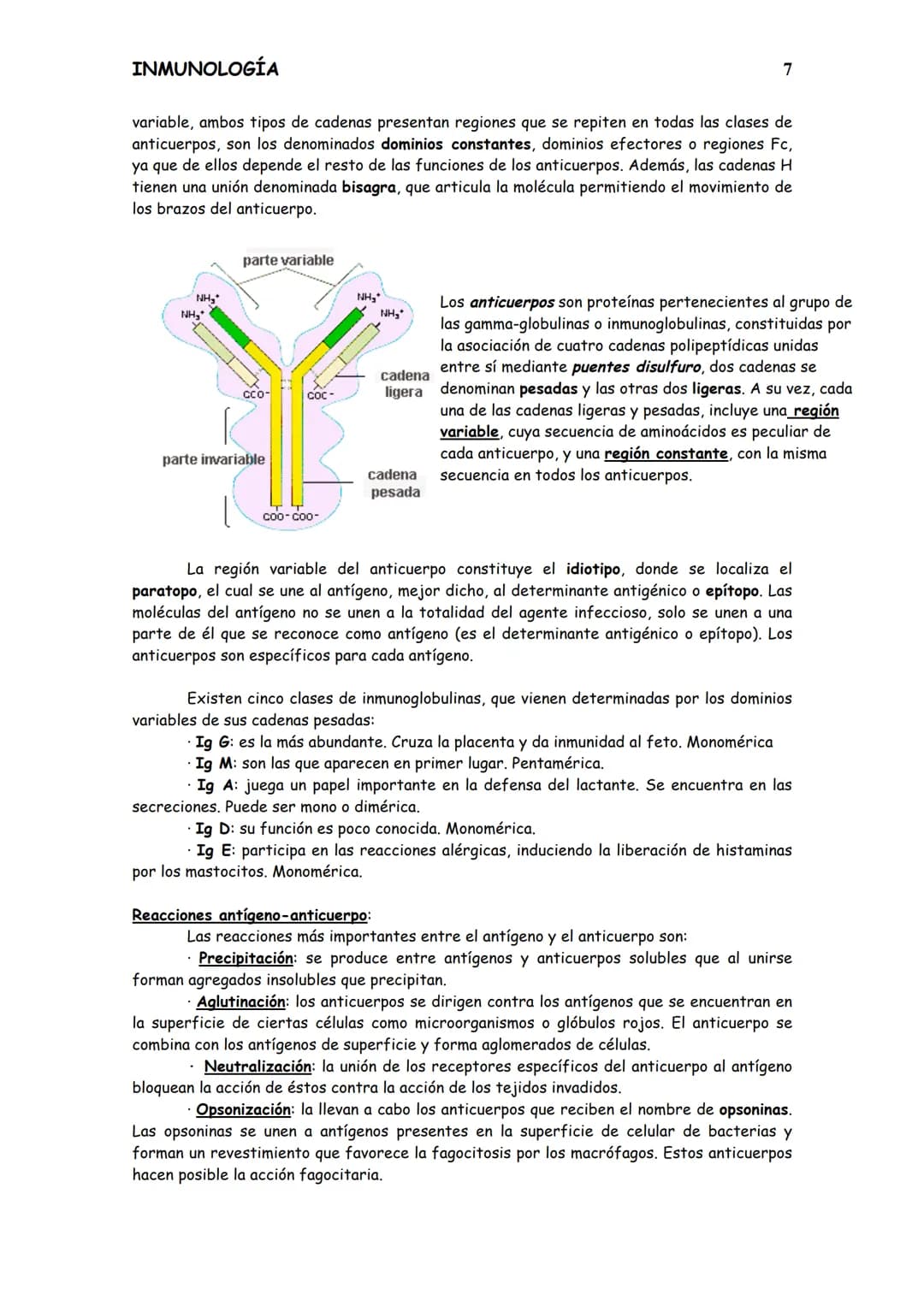 
<p>El sistema inmunitario es el conjunto de células y sustancias presentes en nuestro organismo, o que se producen para tolerar o rechazar 