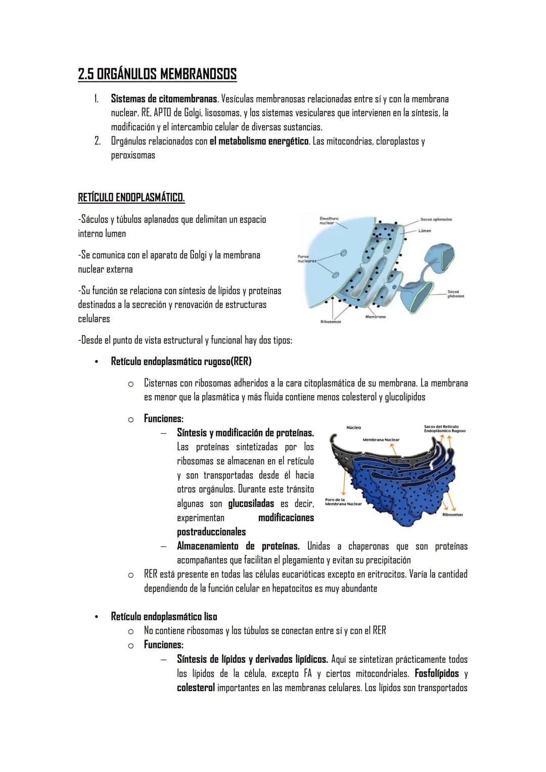 2.5 ORGÁNULOS MEMBRANOSOS
1. Sistemas de citomembranas. Vesículas membranosas relacionadas entre sí y con la membrana
nuclear. RE, APTO de G