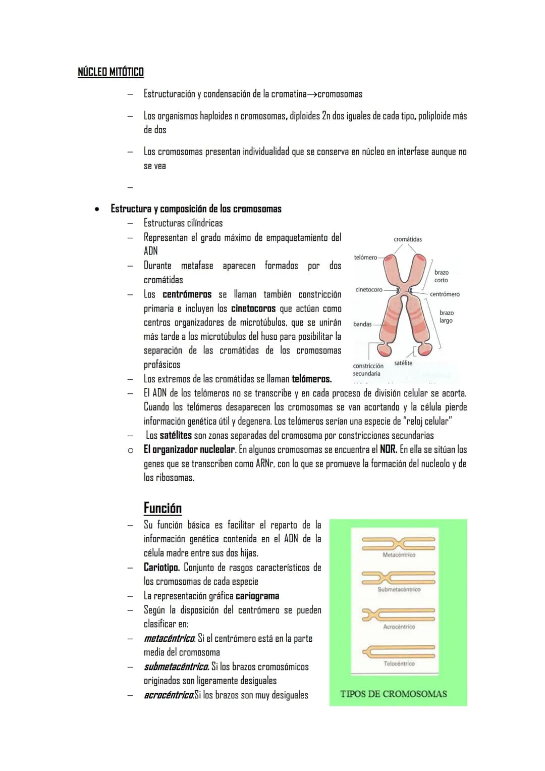 2.5 ORGÁNULOS MEMBRANOSOS
1. Sistemas de citomembranas. Vesículas membranosas relacionadas entre sí y con la membrana
nuclear. RE, APTO de G
