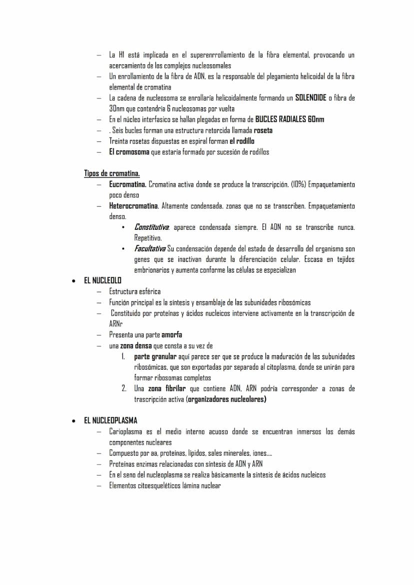 2.5 ORGÁNULOS MEMBRANOSOS
1. Sistemas de citomembranas. Vesículas membranosas relacionadas entre sí y con la membrana
nuclear. RE, APTO de G