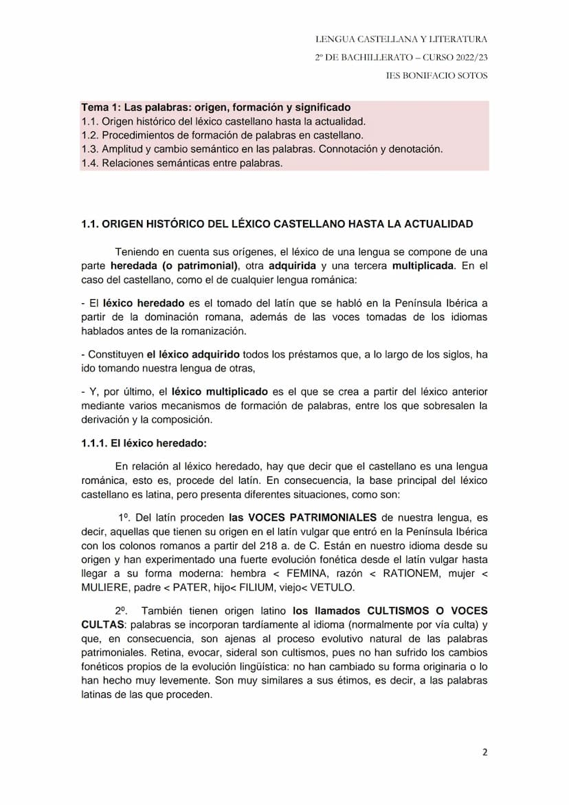 TEMARIO LENGUA (CUESTIÓN 3)
Tema 1: Las palabras: origen, formación y significado.
1.1. Origen histórico del léxico castellano hasta la actu