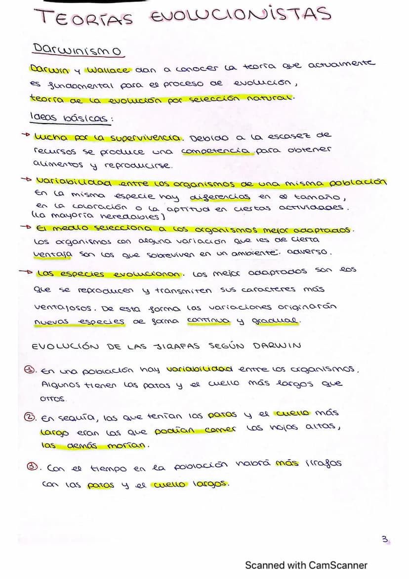 
<p>La evolución de los seres vivos es un tema de gran importancia en la biología. Hasta el siglo XIX (19), prevalecían las teorías fijistas