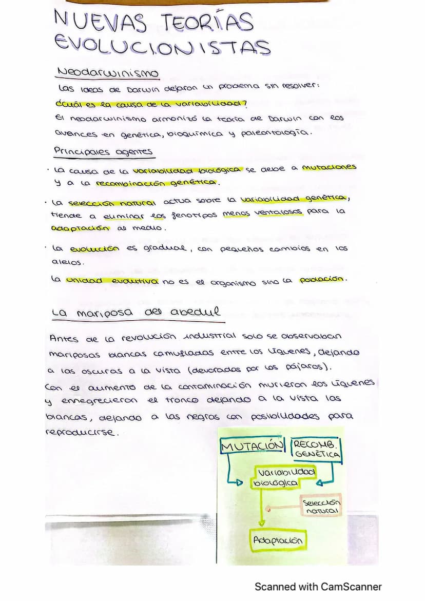 
<p>La evolución de los seres vivos es un tema de gran importancia en la biología. Hasta el siglo XIX (19), prevalecían las teorías fijistas