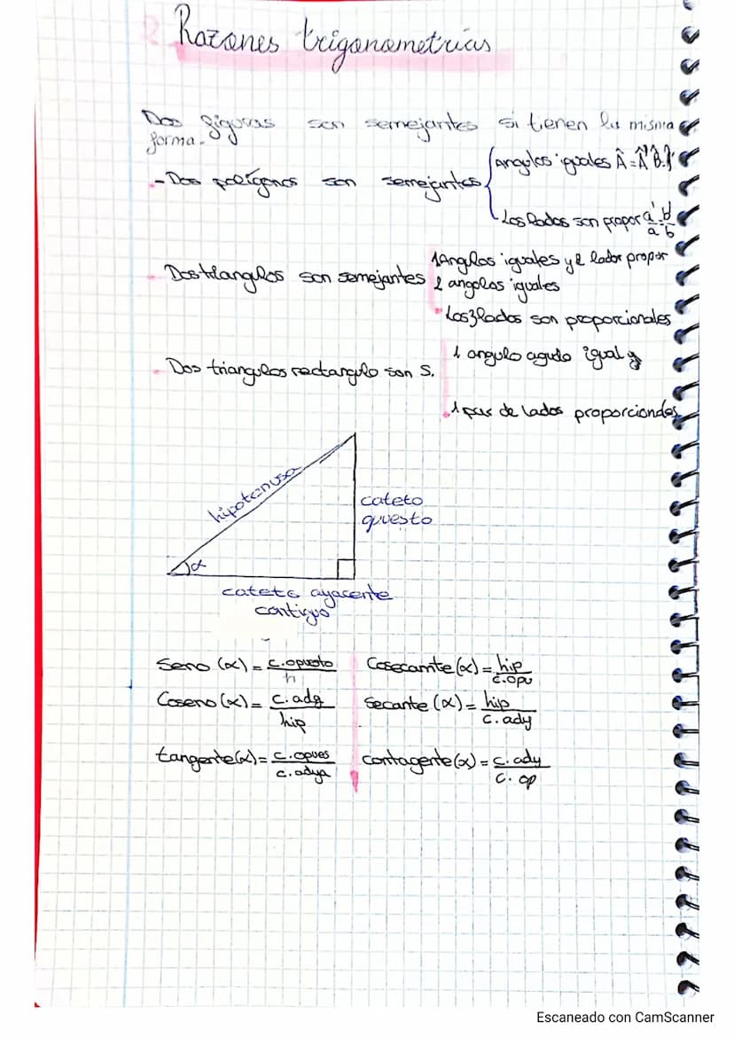 
<h2 id="mltiplosydivisores">Múltiplos y divisores</h2>
<p>Los múltiplos son el resultado de la tabla de multiplicar y siempre son números m