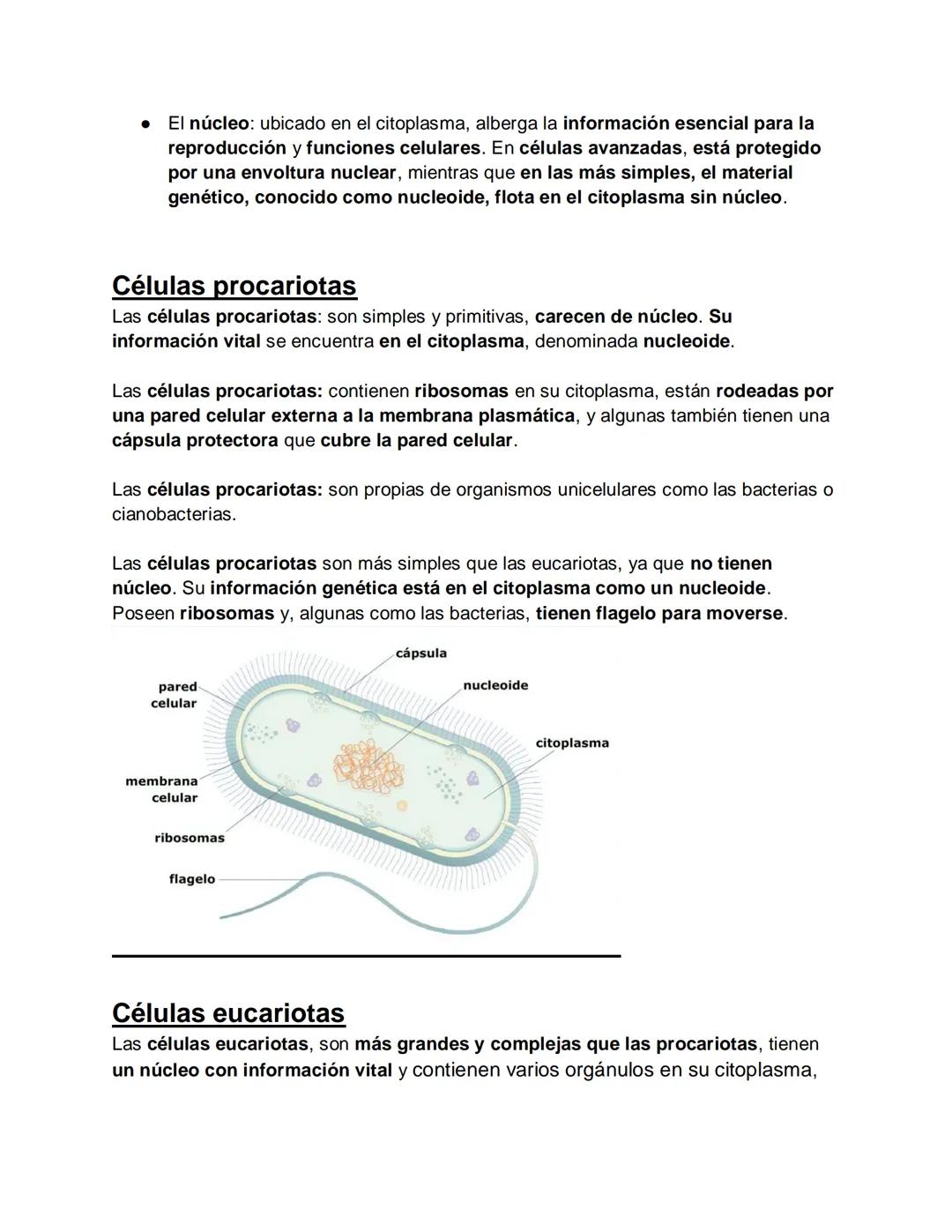 Especie
→
Poblaciones →> · Comunidades → Ecosistema →> · Biosfera
Composición de los seres vivos
Los bioelementos son los elementos químicos