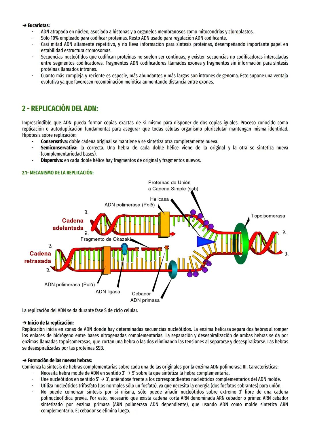 # TEMA 16-BASE MOLECULAR HERENCIA:

1- ADN COMO MOLÉCULA PORTADORA DE LA INFORMACIÓN GENÉTICA:

1.1 - REQUISITOS PARA QUE MOLÉCULA LLEVARA M