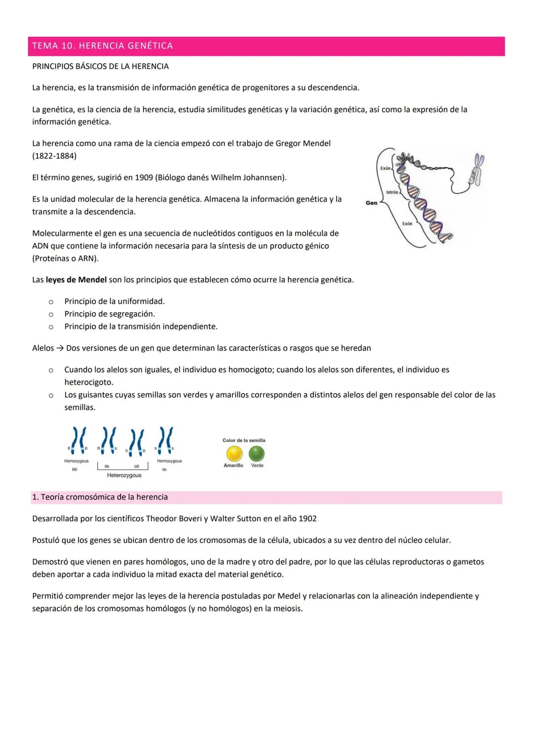 Leyes de Mendel, herencia genetic 