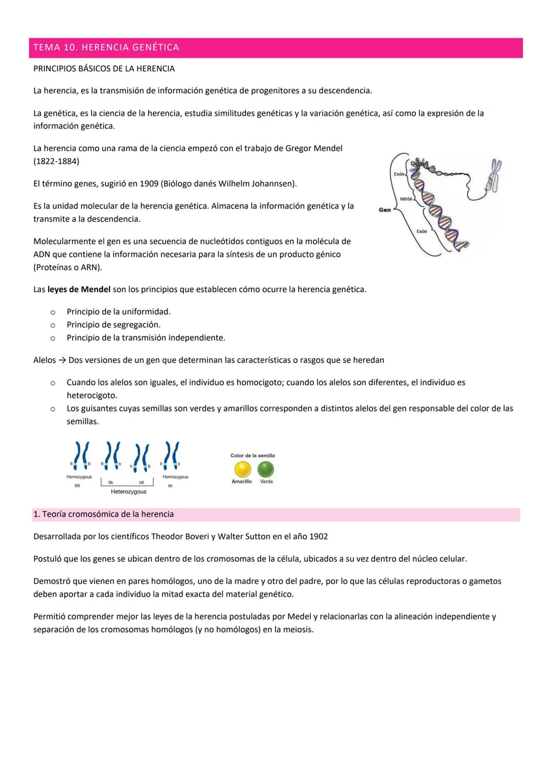 TEMA 10. HERENCIA GENÉTICA
PRINCIPIOS BÁSICOS DE LA HERENCIA
La herencia, es la transmisión de información genética de progenitores a su des