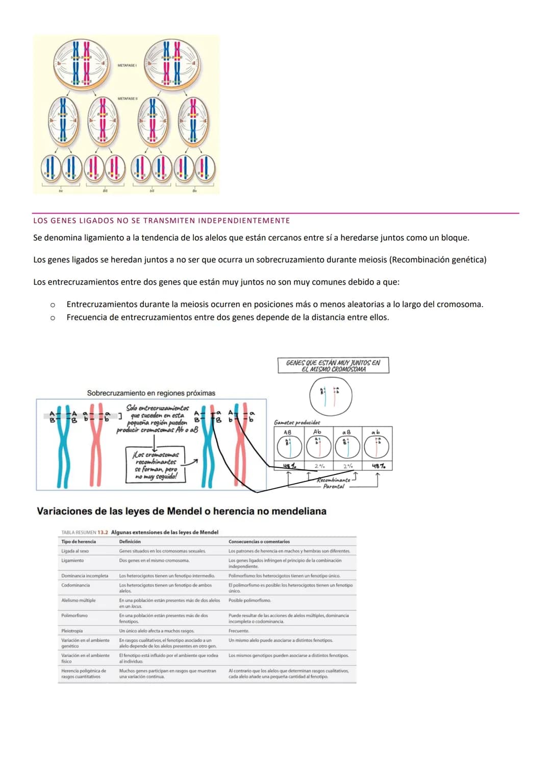 TEMA 10. HERENCIA GENÉTICA
PRINCIPIOS BÁSICOS DE LA HERENCIA
La herencia, es la transmisión de información genética de progenitores a su des