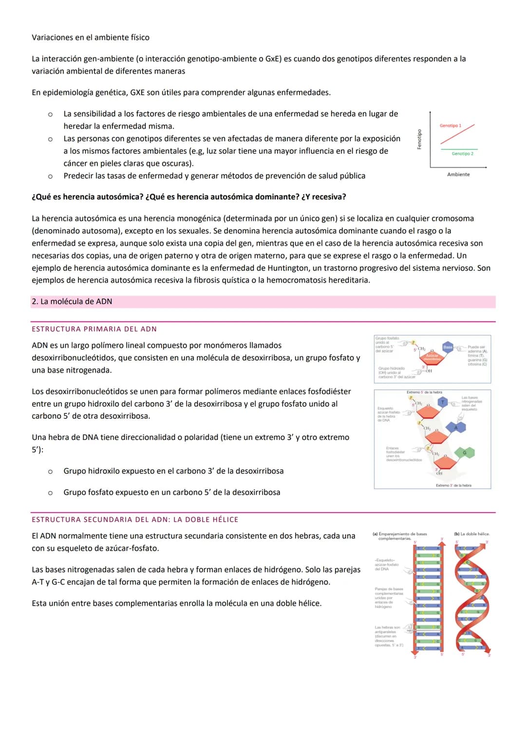 TEMA 10. HERENCIA GENÉTICA
PRINCIPIOS BÁSICOS DE LA HERENCIA
La herencia, es la transmisión de información genética de progenitores a su des