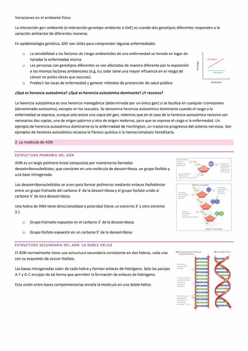 TEMA 10. HERENCIA GENÉTICA
PRINCIPIOS BÁSICOS DE LA HERENCIA
La herencia, es la transmisión de información genética de progenitores a su des