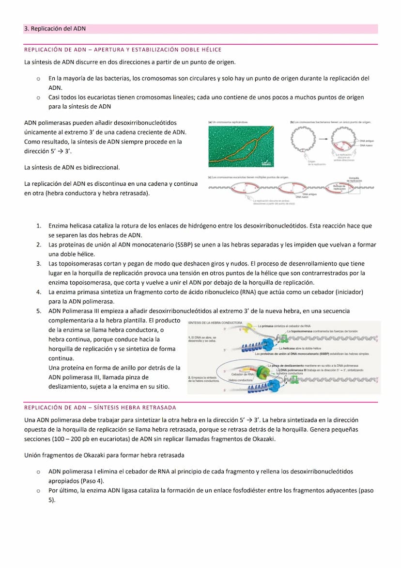TEMA 10. HERENCIA GENÉTICA
PRINCIPIOS BÁSICOS DE LA HERENCIA
La herencia, es la transmisión de información genética de progenitores a su des