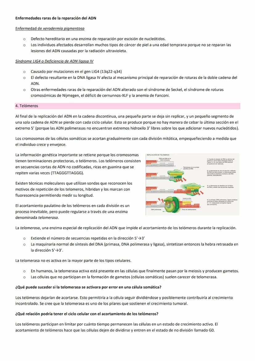 TEMA 10. HERENCIA GENÉTICA
PRINCIPIOS BÁSICOS DE LA HERENCIA
La herencia, es la transmisión de información genética de progenitores a su des