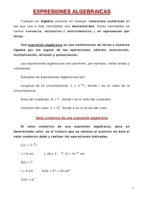 Know EXPRESIONES ALGEBRAICAS  thumbnail
