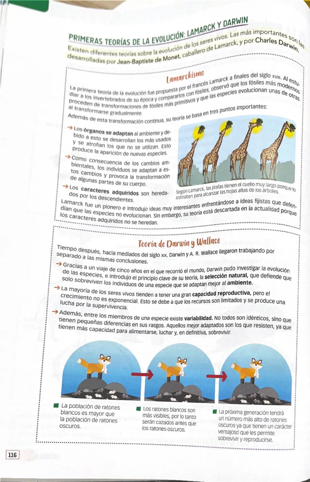 116
PRIMERAS TEORÍAS DE LA EVOLUCIÓN: LAMARCK Y DARWIN
Existen diferentes teorías sobre la evolución de los seres vivos. Las más importantes