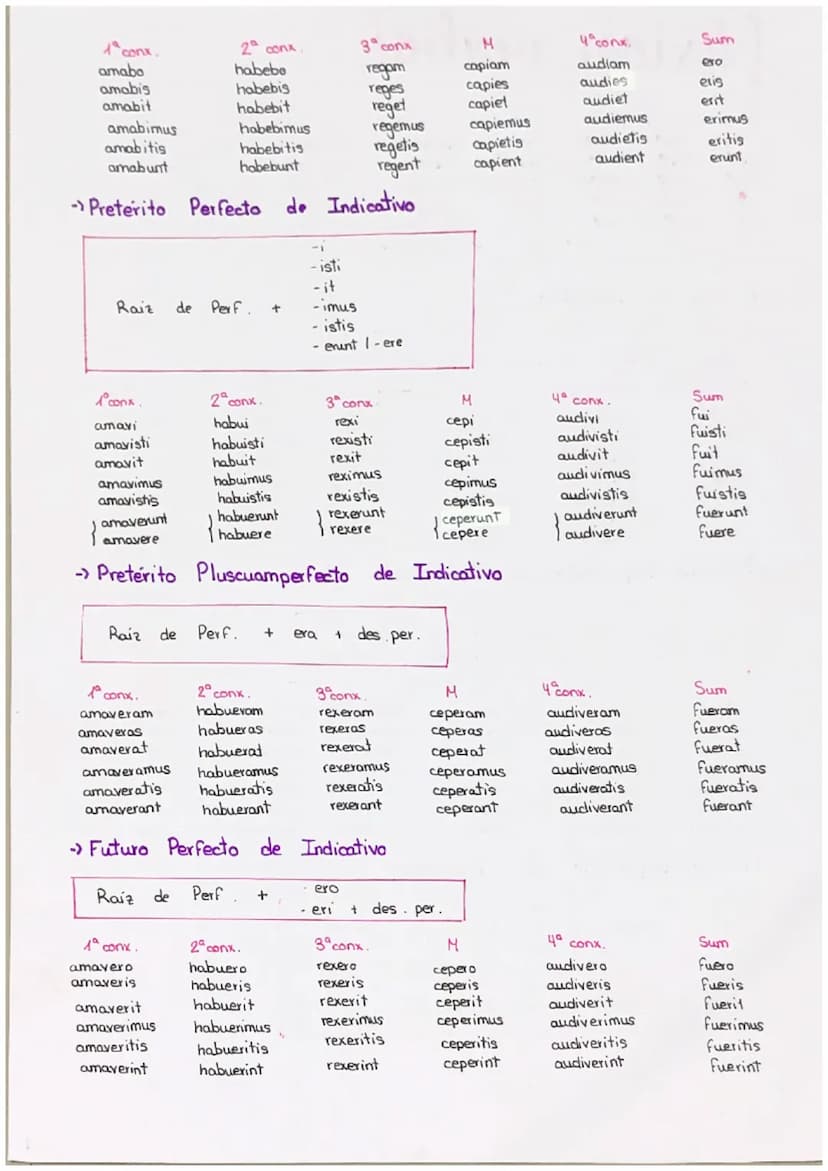 flexion verbal
Enunciado verbos
amo
habeo
rego
capio
audio
L
.
amas
amare
habes, habere
regis, regere
capis capere
audis
audire
1a conx.
amo