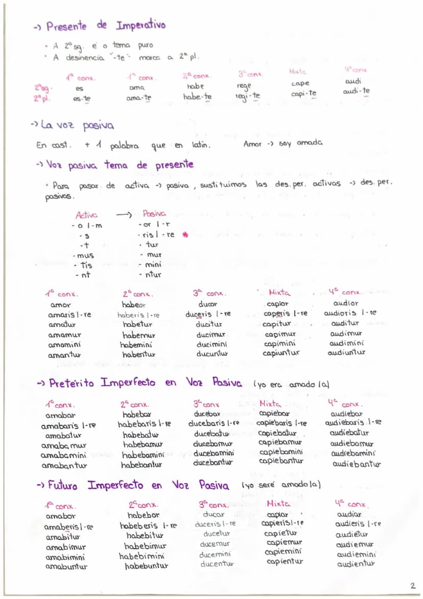 flexion verbal
Enunciado verbos
amo
habeo
rego
capio
audio
L
.
amas
amare
habes, habere
regis, regere
capis capere
audis
audire
1a conx.
amo