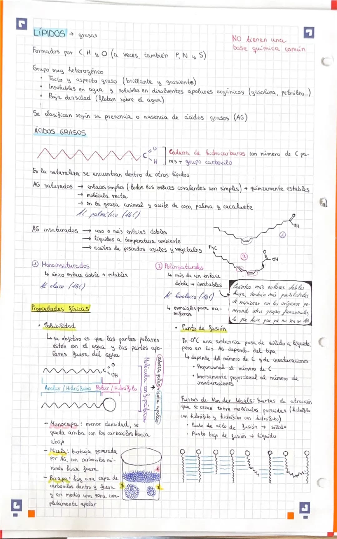 # LÍPIDOS grasas

Formados por C, H Y O (a veces, también P, N S)

Grupo muy heterogénco

*   Tacto y aspecto graso (brillante y grasiento)
