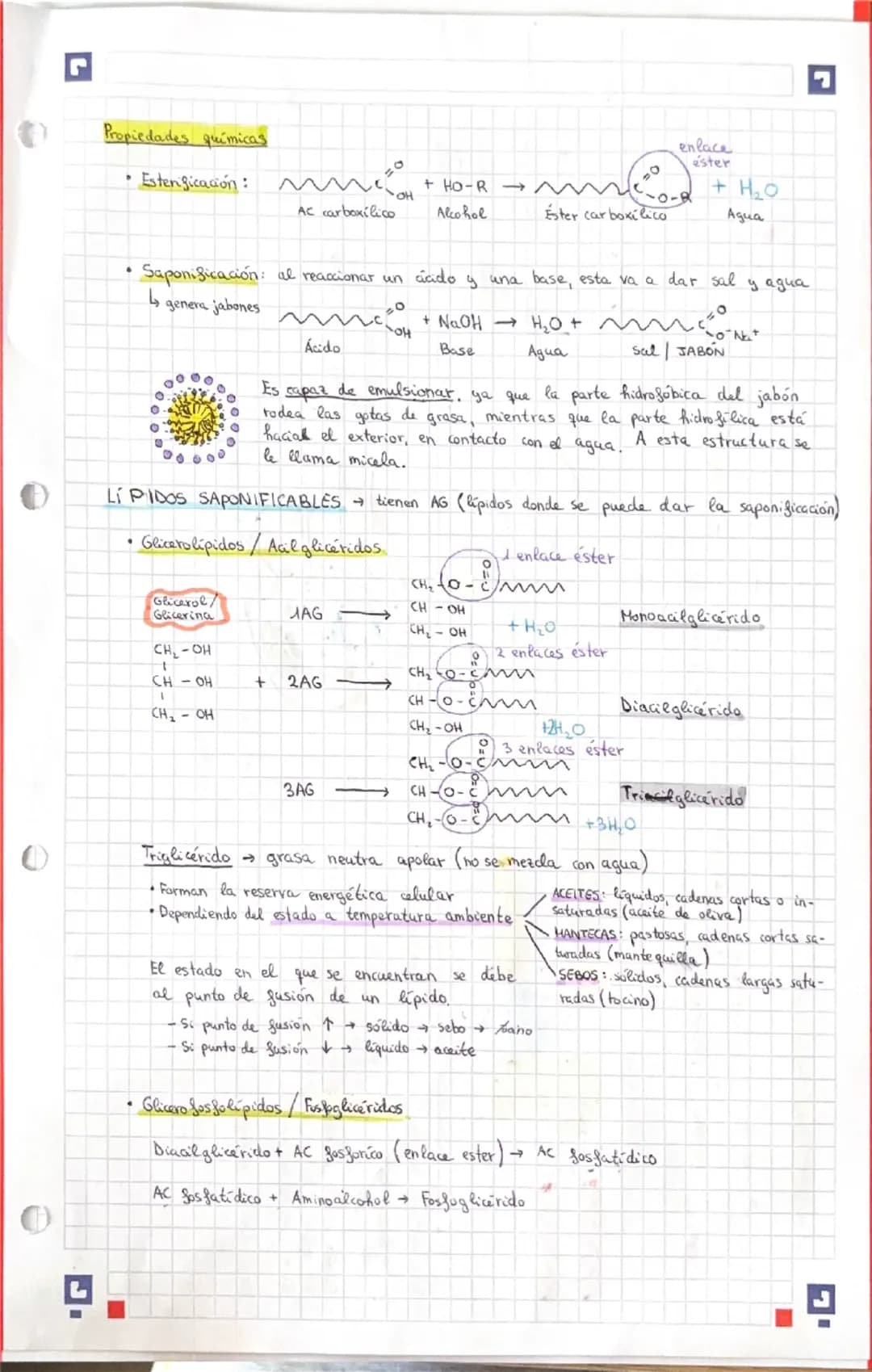 # LÍPIDOS grasas

Formados por C, H Y O (a veces, también P, N S)

Grupo muy heterogénco

*   Tacto y aspecto graso (brillante y grasiento)
