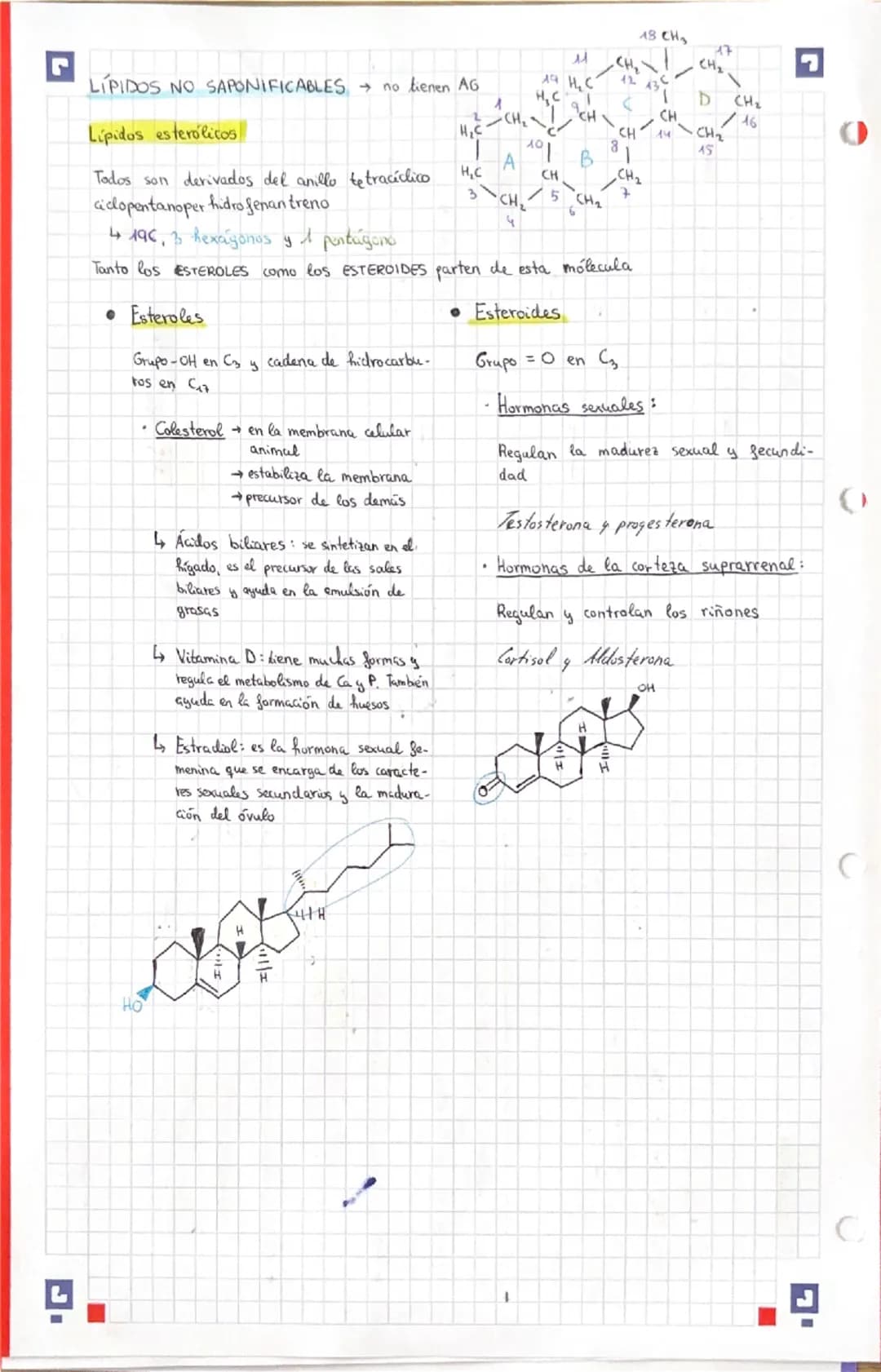# LÍPIDOS grasas

Formados por C, H Y O (a veces, también P, N S)

Grupo muy heterogénco

*   Tacto y aspecto graso (brillante y grasiento)
