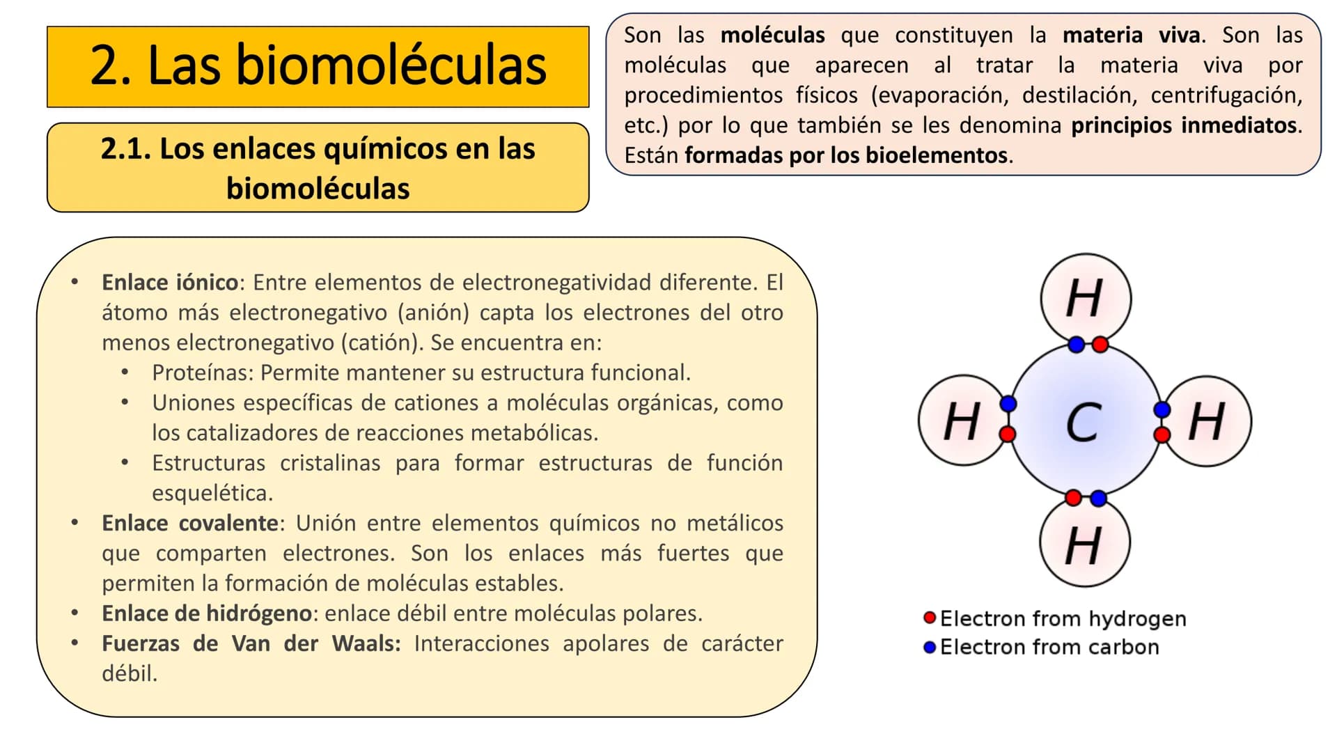 UD 1. LA BASE
QUÍMICA DE LA VIDA
Biología 2º Bachillerato
Marta Gómez Vera Actividades iniciales
• ¿Cuáles son los niveles de organización d