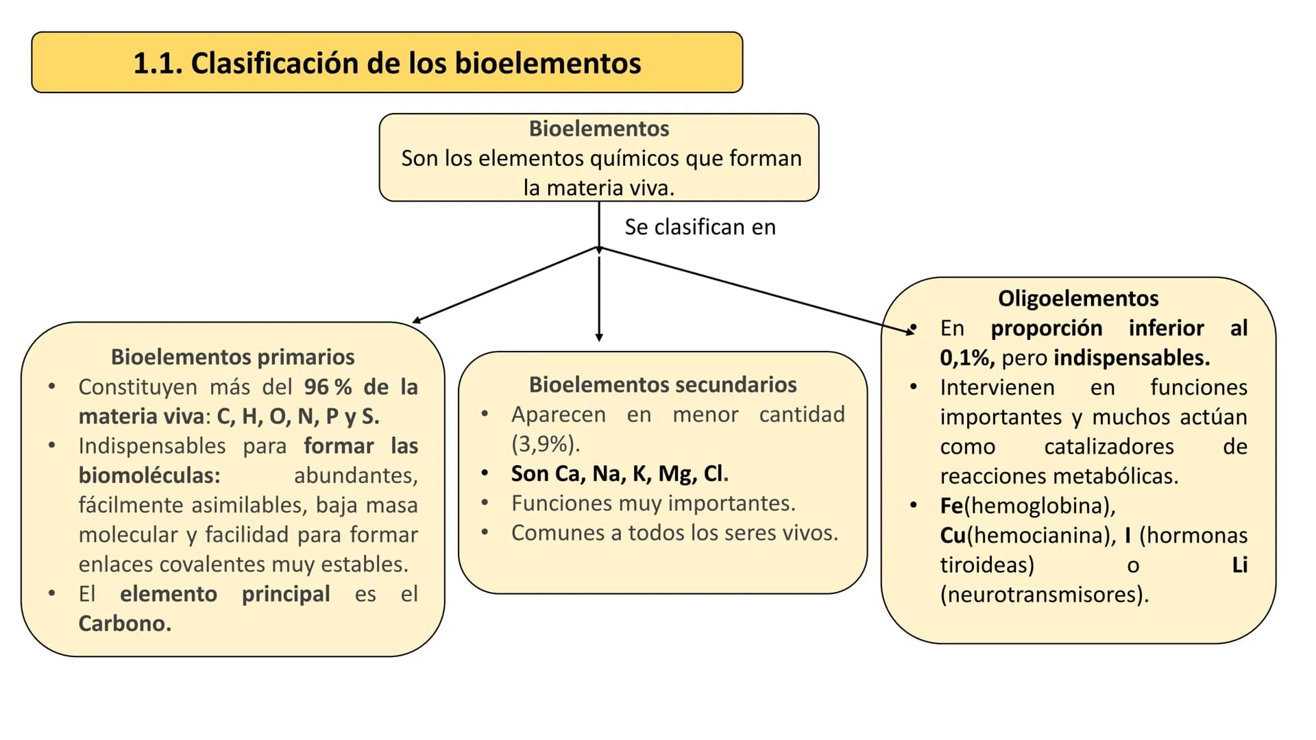 UD 1. LA BASE
QUÍMICA DE LA VIDA
Biología 2º Bachillerato
Marta Gómez Vera Actividades iniciales
• ¿Cuáles son los niveles de organización d