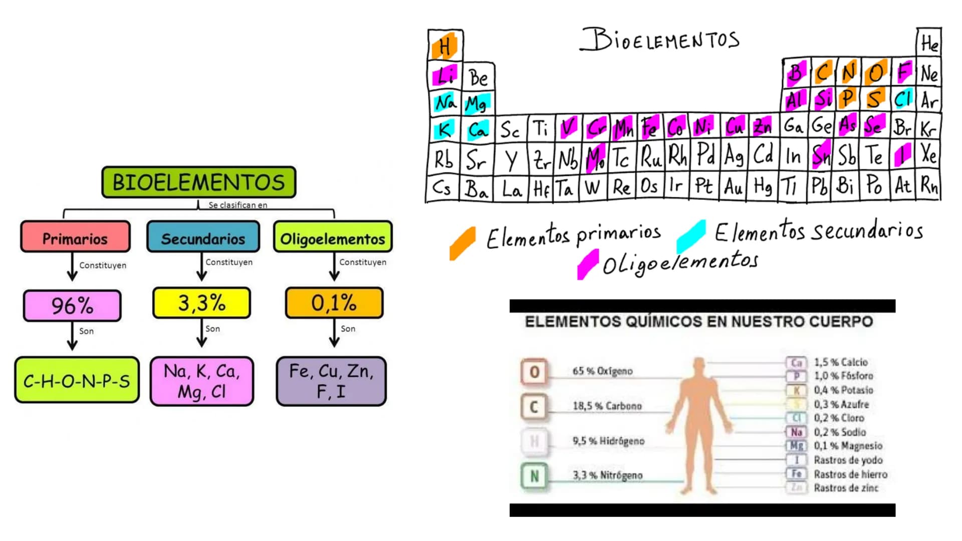 UD 1. LA BASE
QUÍMICA DE LA VIDA
Biología 2º Bachillerato
Marta Gómez Vera Actividades iniciales
• ¿Cuáles son los niveles de organización d