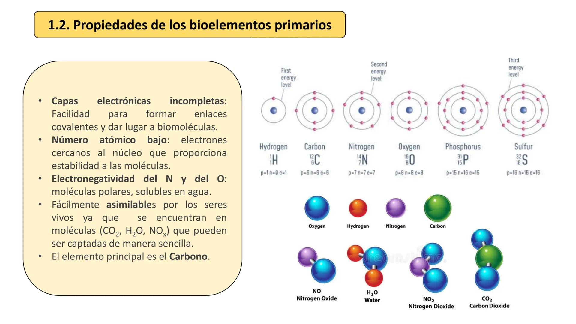 UD 1. LA BASE
QUÍMICA DE LA VIDA
Biología 2º Bachillerato
Marta Gómez Vera Actividades iniciales
• ¿Cuáles son los niveles de organización d
