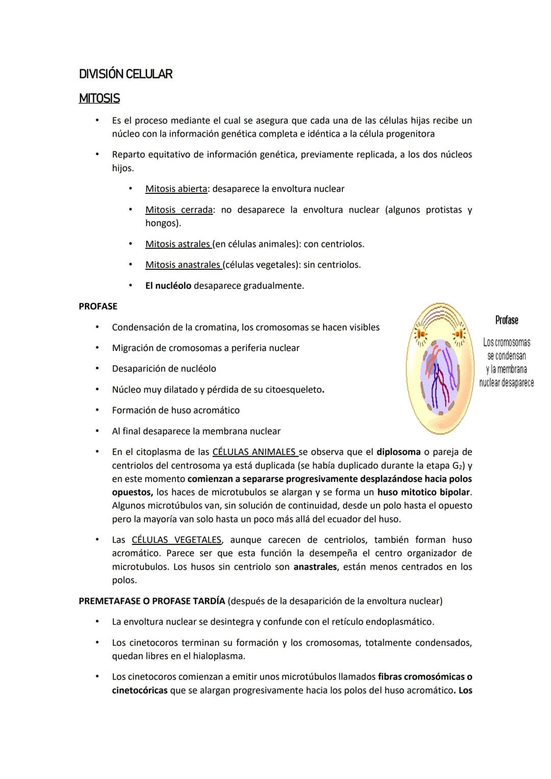 CICLO CELULAR
Es el tiempo que transcurre desde que la célula se forma por división de una
preexistente hasta que se divide y da origen a do